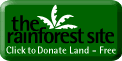Visit The Rainforest Site!