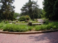 The Seal Fountain