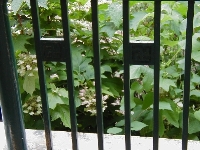 Veranda Fence Decoration