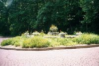 The Seal Fountain