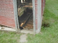 View into the spring house