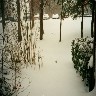 snow3