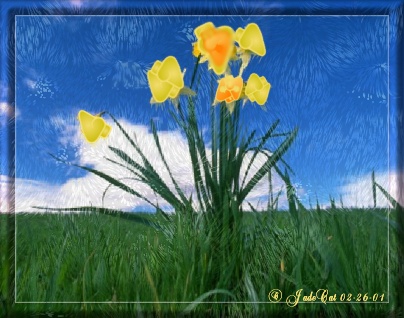 Prairie Flower