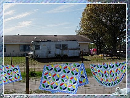 Wash Day