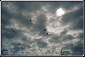 Beautiful sky above the Seaquarium  on Curaçao.