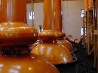 These stills are the tallest scotch making stills in Scotland