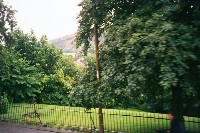 Old ruins through the trees