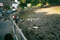 Low tide, as always (grin.)