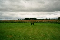 Field leading to the moor